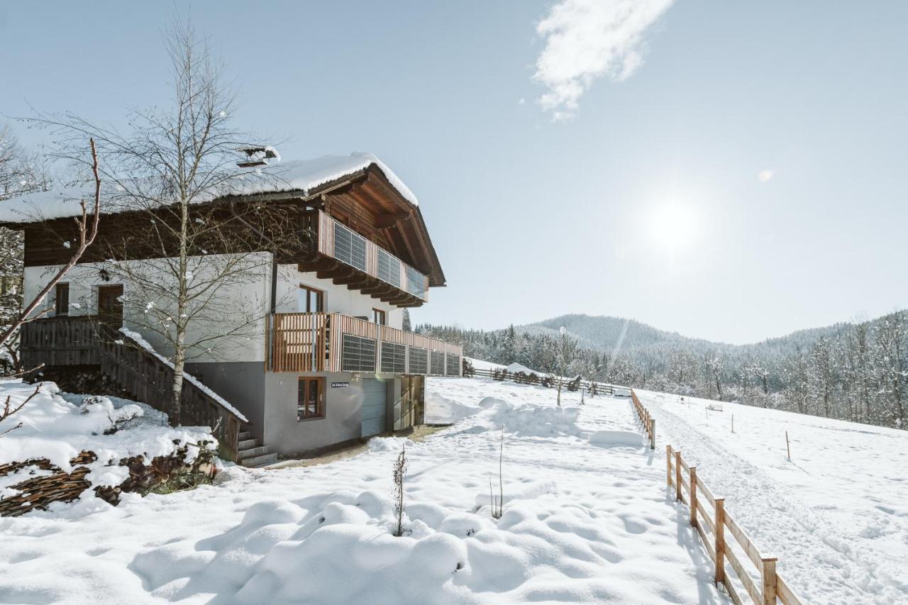 Apartment Mirnockahoi - In Der Mit Berg Und Millstättersee-panorama