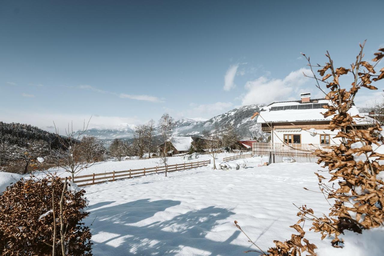 Apartment Mirnockahoi - In Der Mit Berg Und Millstättersee-panorama